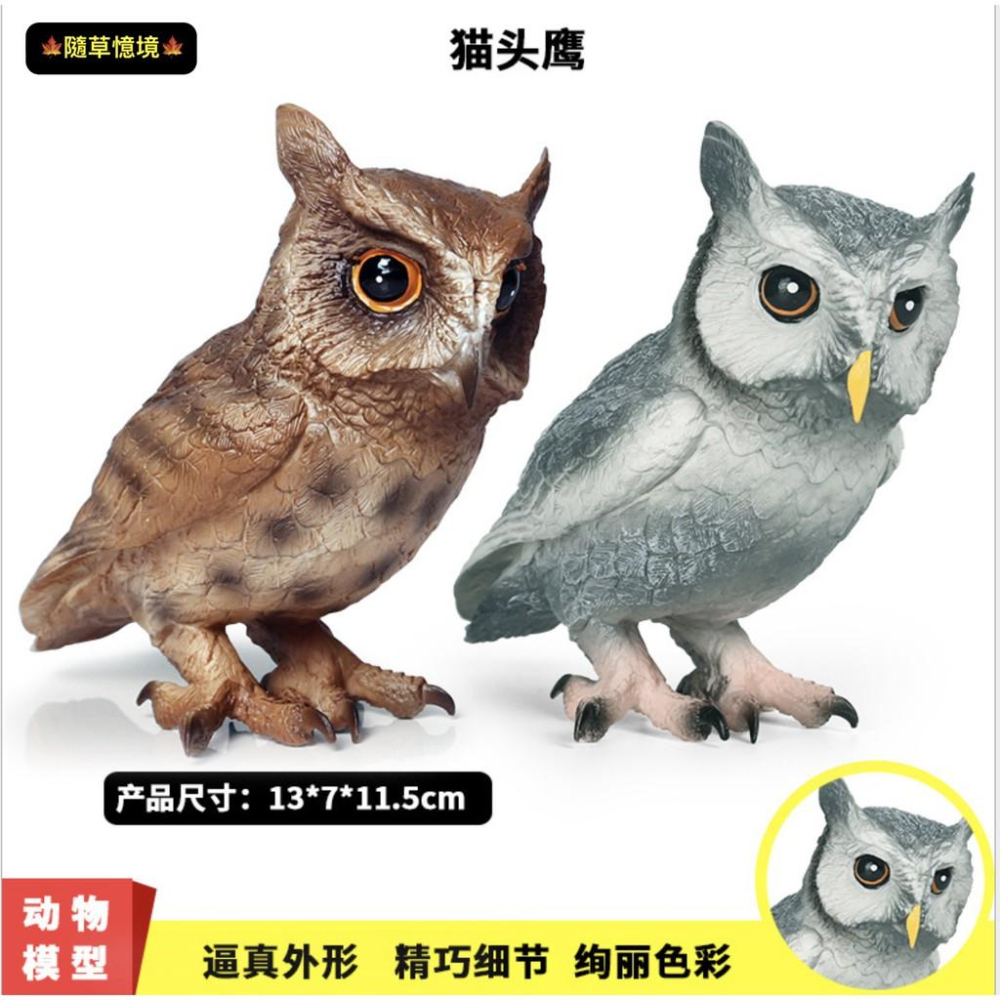 （2色款高品質）仿真 大型 貓頭鷹 owl 暗公叫 夜行 鳥禽 動物模型 野生動物 兒童玩具 益智 SPG-細節圖5