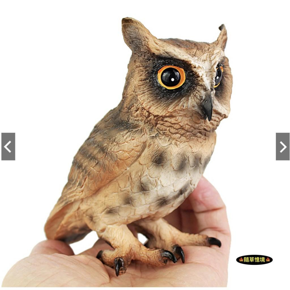（2色款高品質）仿真 大型 貓頭鷹 owl 暗公叫 夜行 鳥禽 動物模型 野生動物 兒童玩具 益智 SPG-細節圖9