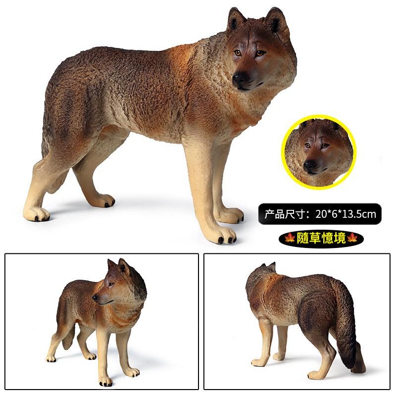（5狼家族）仿真 灰狼 棕狼 狼仔 大灰狼 小灰狼 狼 動物模型 野生動物 兒童玩具 益智 公仔 SPG-細節圖2
