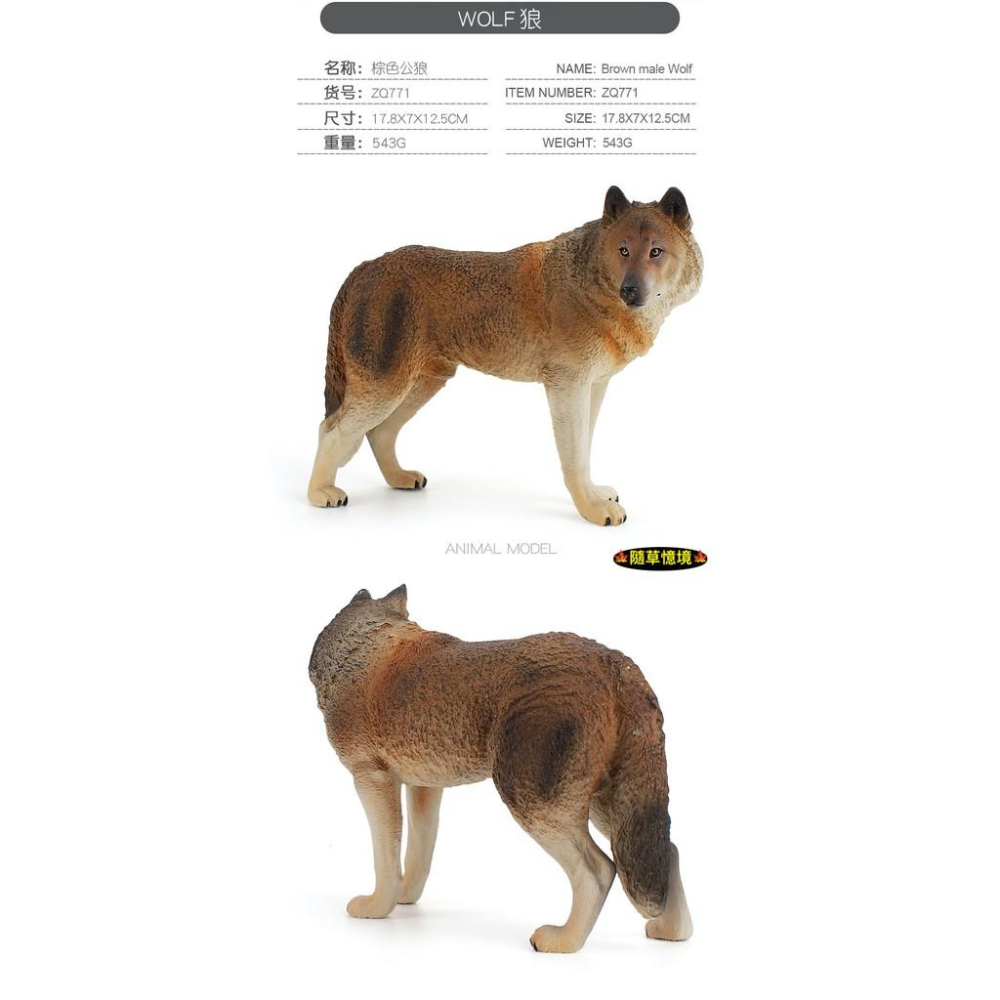 （5狼家族）仿真 灰狼 棕狼 狼仔 大灰狼 小灰狼 狼 動物模型 野生動物 兒童玩具 益智 公仔 SPG-細節圖3