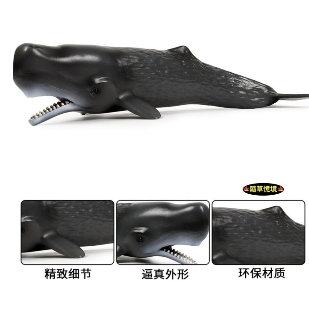 （高品質畫工）大號 仿真 實心 抹香鲸 鯨魚 大型 海洋 動物模型 野生動物 兒童玩具 益智 公仔 SPG-細節圖2