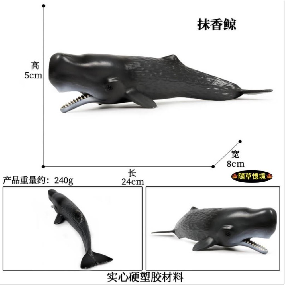 （高品質畫工）大號 仿真 實心 抹香鲸 鯨魚 大型 海洋 動物模型 野生動物 兒童玩具 益智 公仔 SPG-細節圖6