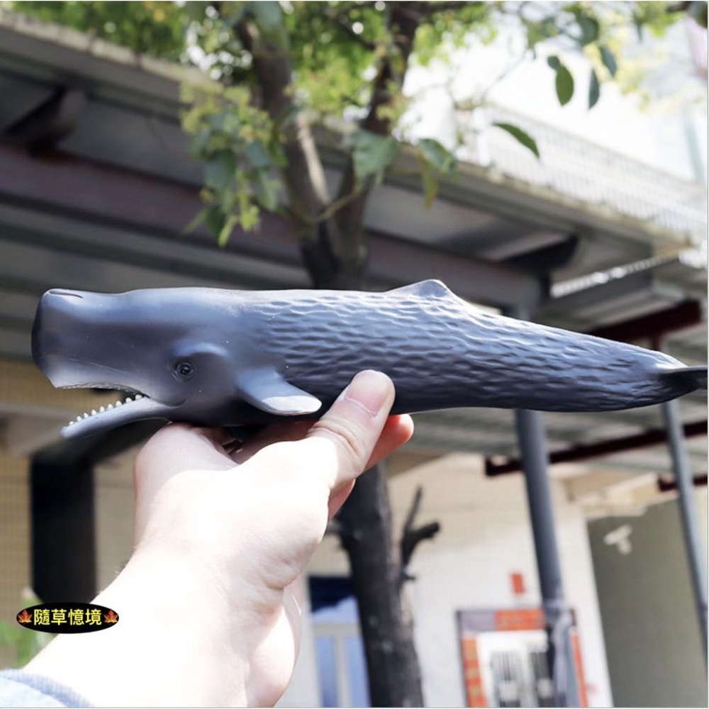（高品質畫工）大號 仿真 實心 抹香鲸 鯨魚 大型 海洋 動物模型 野生動物 兒童玩具 益智 公仔 SPG-細節圖7