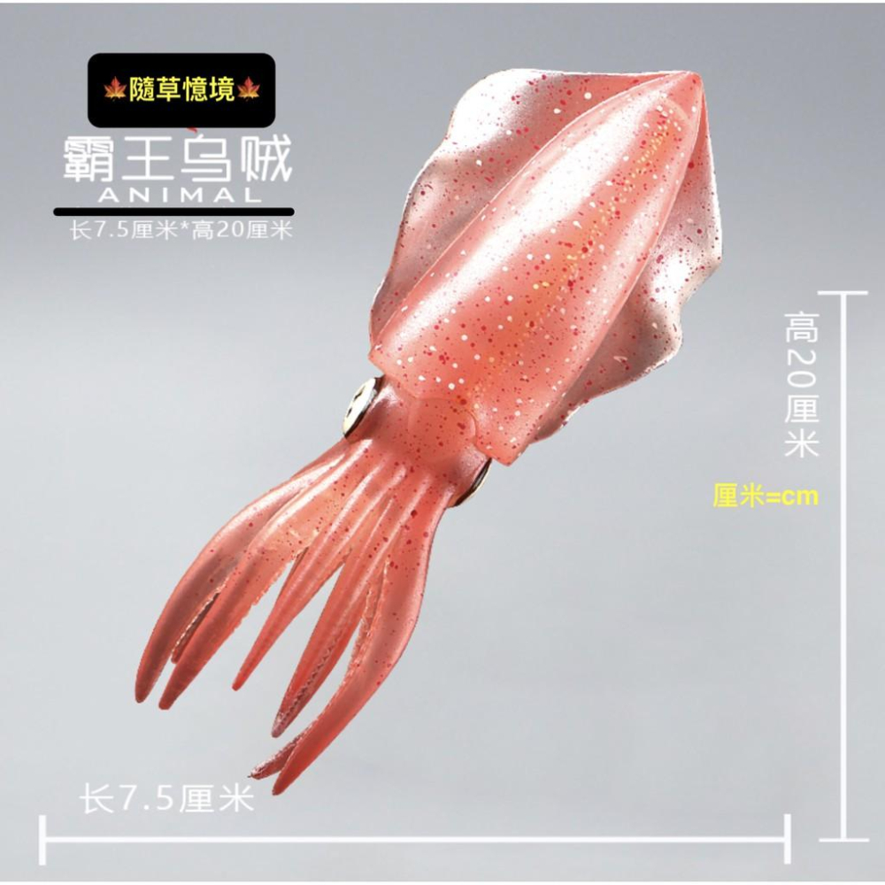 （6款大號） 魷魚 章魚 八爪魚 烏賊 小卷 花枝 烏賊 spg 海洋生物 軟體動物 模型 兒童益智 玩具-細節圖2