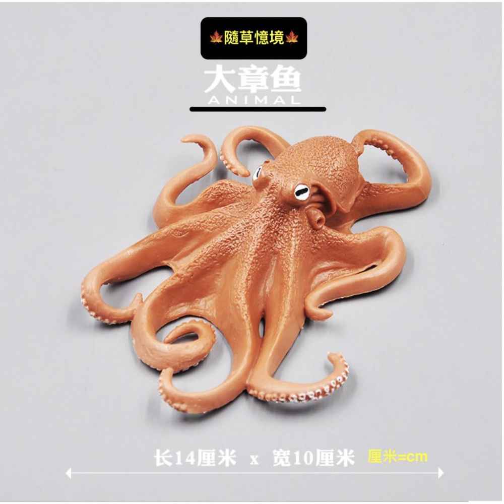 （6款大號） 魷魚 章魚 八爪魚 烏賊 小卷 花枝 烏賊 spg 海洋生物 軟體動物 模型 兒童益智 玩具-細節圖3
