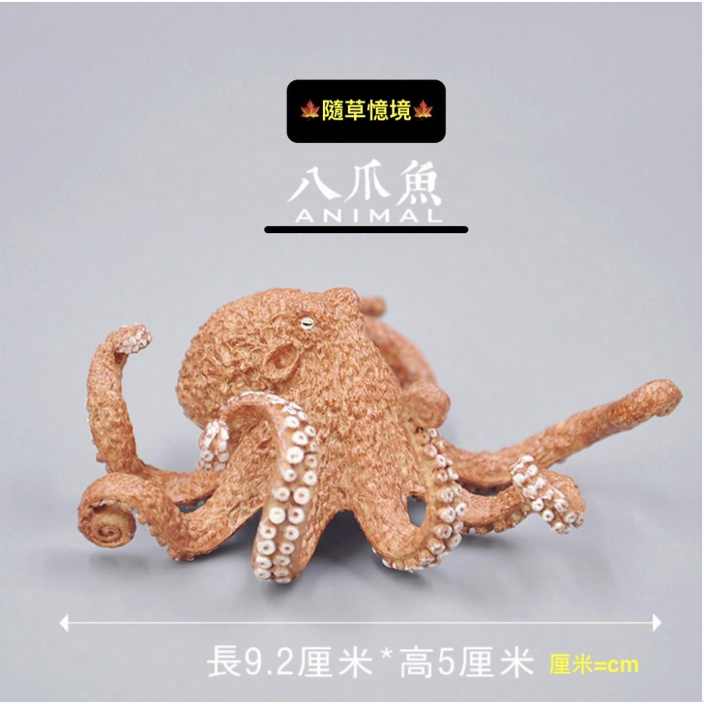（6款大號） 魷魚 章魚 八爪魚 烏賊 小卷 花枝 烏賊 spg 海洋生物 軟體動物 模型 兒童益智 玩具-細節圖4