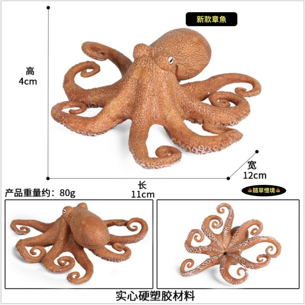（6款大號） 魷魚 章魚 八爪魚 烏賊 小卷 花枝 烏賊 spg 海洋生物 軟體動物 模型 兒童益智 玩具-細節圖5