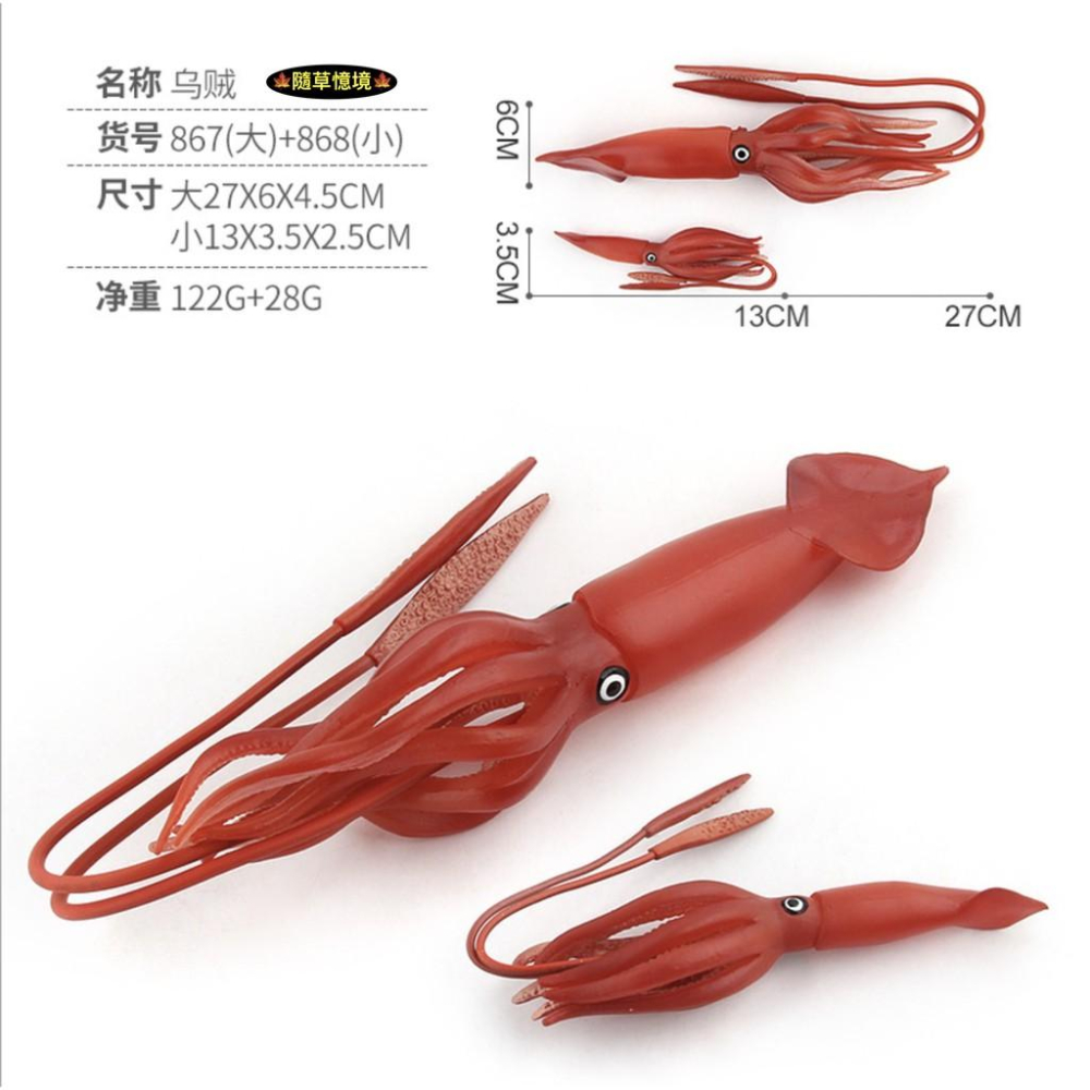 （6款大號） 魷魚 章魚 八爪魚 烏賊 小卷 花枝 烏賊 spg 海洋生物 軟體動物 模型 兒童益智 玩具-細節圖6