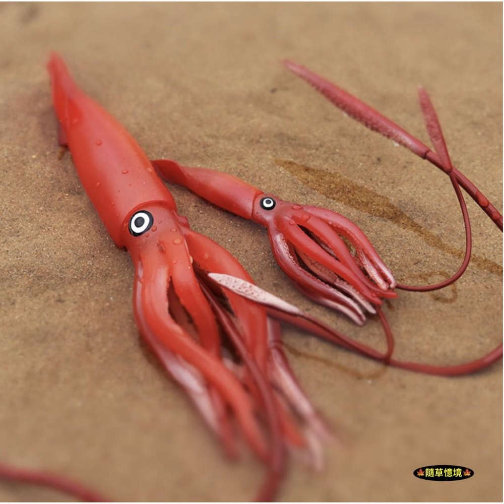 （6款大號） 魷魚 章魚 八爪魚 烏賊 小卷 花枝 烏賊 spg 海洋生物 軟體動物 模型 兒童益智 玩具-細節圖8