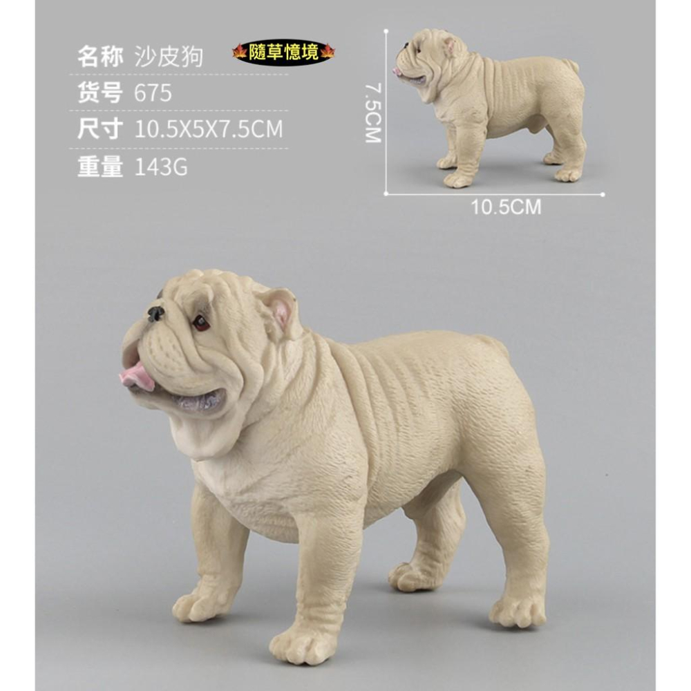 （3款高品質畫工肌肉表現） 沙皮狗 肉嘴 鬥牛犬 狗狗 小狗 仿真 動物模型 野生動物 兒童玩具 益智 公仔 SPG-細節圖3