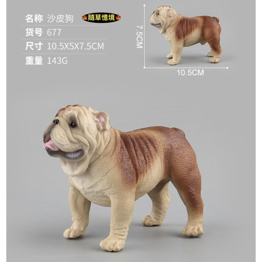 （3款高品質畫工肌肉表現） 沙皮狗 肉嘴 鬥牛犬 狗狗 小狗 仿真 動物模型 野生動物 兒童玩具 益智 公仔 SPG-細節圖4