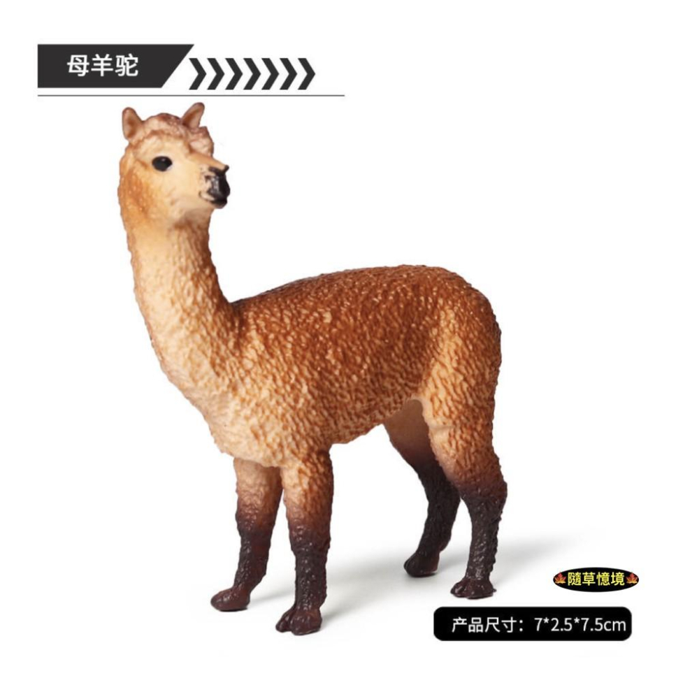 （6款）仿真 草泥馬 羊駝 親子 羊駝 llama 動物模型 野生動物 兒童玩具 益智 公仔 SPG-細節圖3