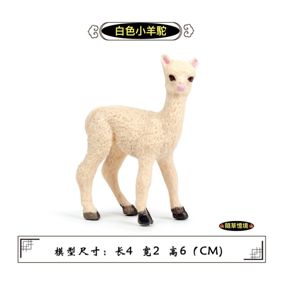 （6款）仿真 草泥馬 羊駝 親子 羊駝 llama 動物模型 野生動物 兒童玩具 益智 公仔 SPG-細節圖7