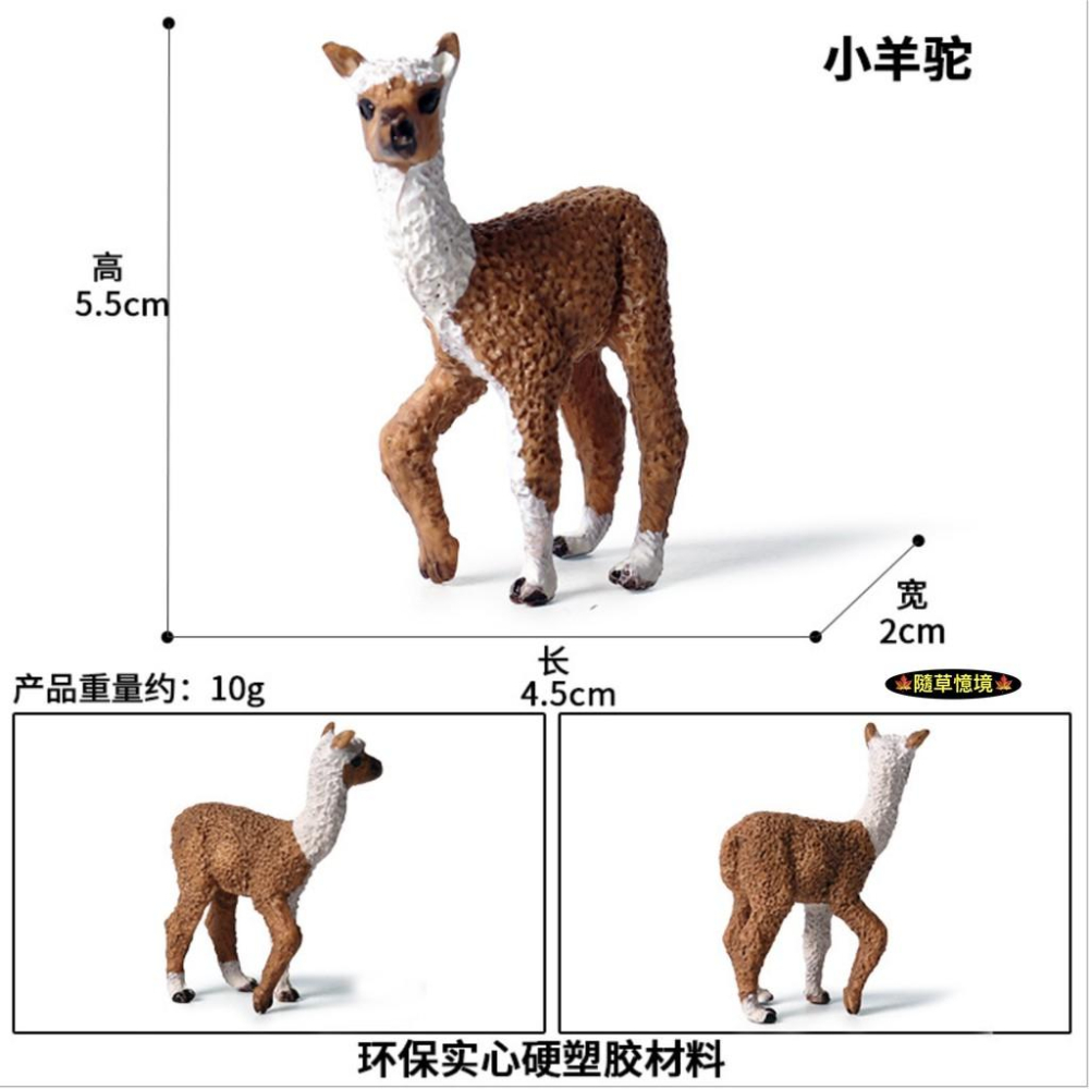 （6款）仿真 草泥馬 羊駝 親子 羊駝 llama 動物模型 野生動物 兒童玩具 益智 公仔 SPG-細節圖8