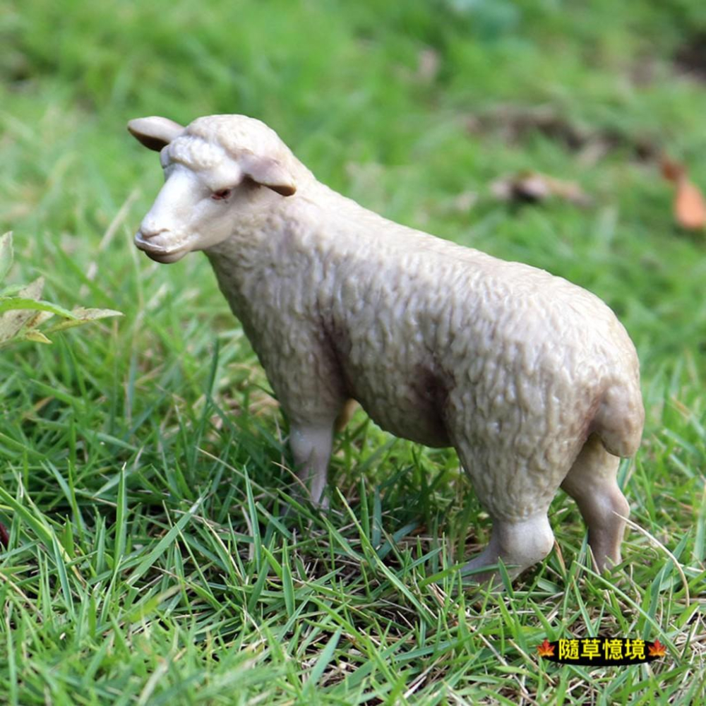 仿真 美利奴羊 綿羊 捲毛綿羊 羊 家禽 動物模型 野生動物 兒童玩具 益智 公仔 SPG - 隨草憶境 微景觀萌物批發（旗艦店 ...