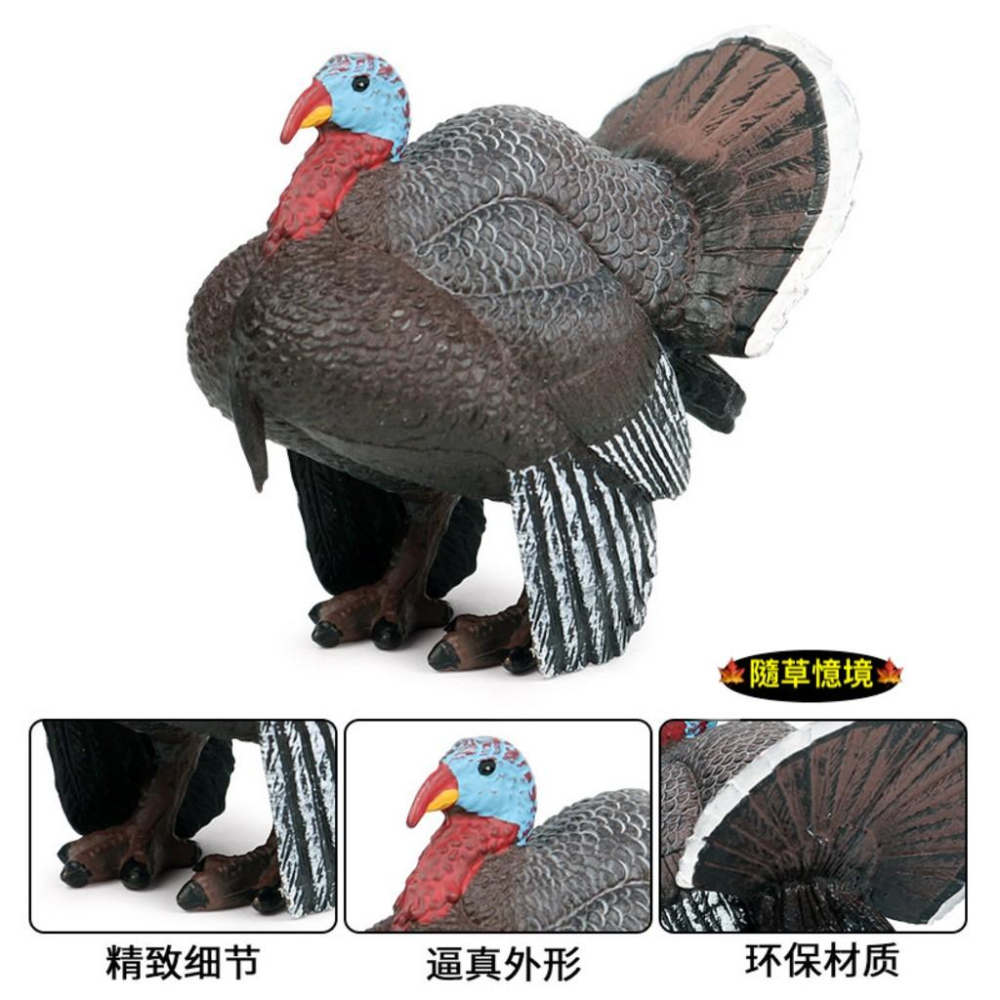 （2款）仿真 北美 火雞 七面鳥 吐綬雞 雞 家禽 動物模型 野生動物 兒童玩具 益智 公仔 SPG-細節圖4