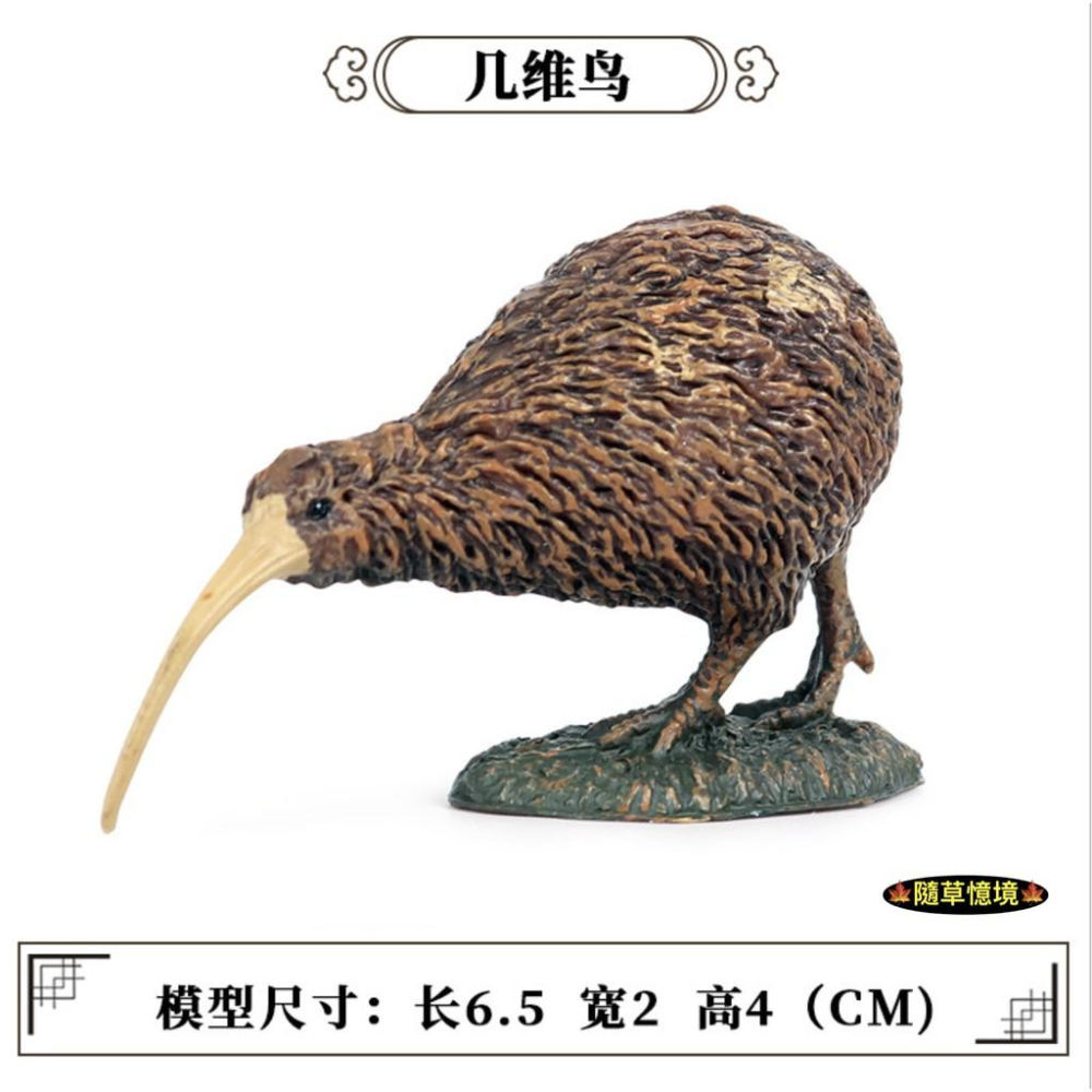 （紐西蘭鳥）仿真 奇異鳥 鷸 几維鳥 幾維鳥 奇威鳥 kiwi 動物模型 野生動物 兒童玩具 益智 SPG-細節圖2