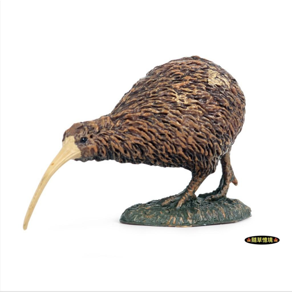 （紐西蘭鳥）仿真 奇異鳥 鷸 几維鳥 幾維鳥 奇威鳥 kiwi 動物模型 野生動物 兒童玩具 益智 SPG-細節圖4