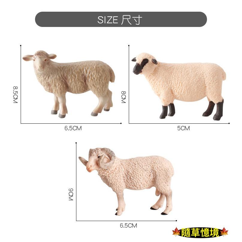 仿真 綿羊 彎角綿羊 美利奴綿羊 羊 家禽 動物模型 野生動物 兒童玩具 益智 公仔 SPG-細節圖2
