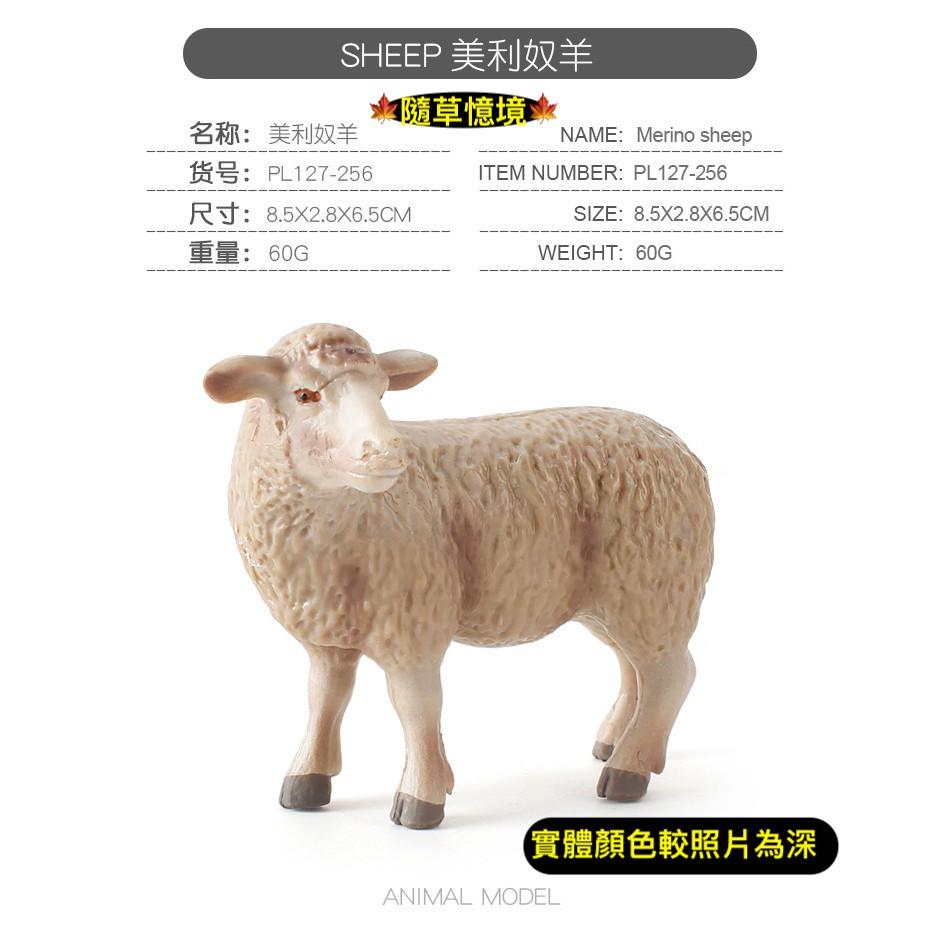 仿真 綿羊 彎角綿羊 美利奴綿羊 羊 家禽 動物模型 野生動物 兒童玩具 益智 公仔 SPG-細節圖3