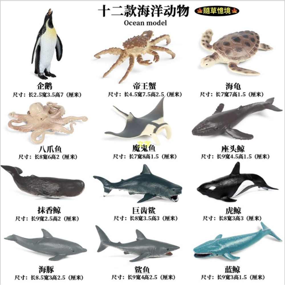 （12款迷你）JS 海洋生物 企鵝 螃蟹 八爪魚 鯨魚 海豚 海龜 鯊魚 海豚 野生動物 益智 SPG-細節圖3