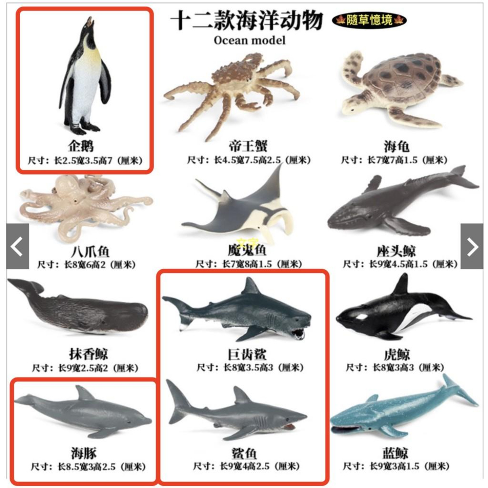 （12款迷你）JS 海洋生物 企鵝 螃蟹 八爪魚 鯨魚 海豚 海龜 鯊魚 海豚 野生動物 益智 SPG-細節圖8