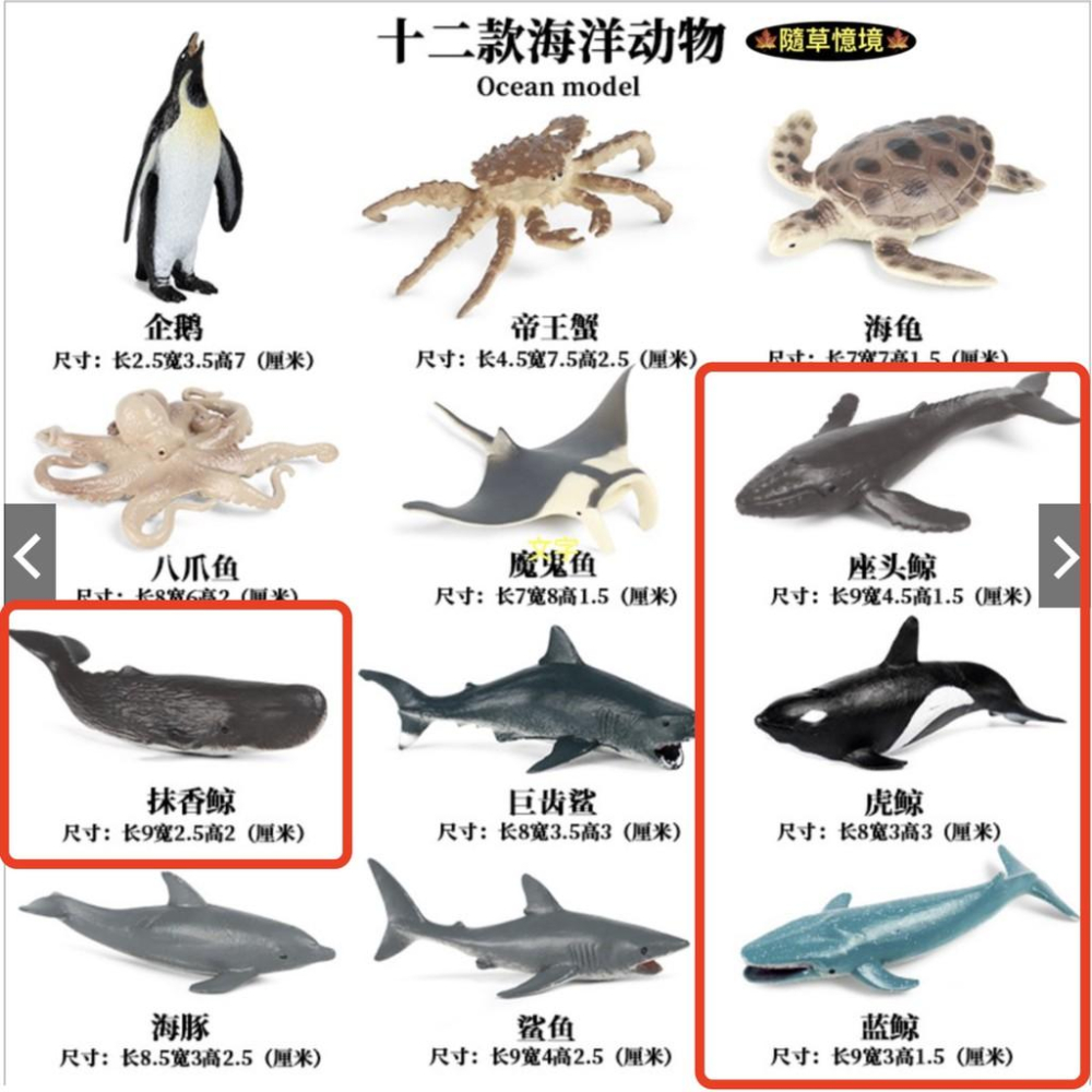 （12款迷你）JS 海洋生物 企鵝 螃蟹 八爪魚 鯨魚 海豚 海龜 鯊魚 海豚 野生動物 益智 SPG-細節圖9