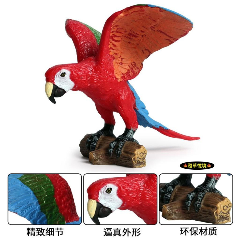 仿真 展翅 站木 金剛鸚鵡 鸚鵡 鳥類動物 飛禽動物 模型 野生動物 兒童玩具 益智 SPG-細節圖2