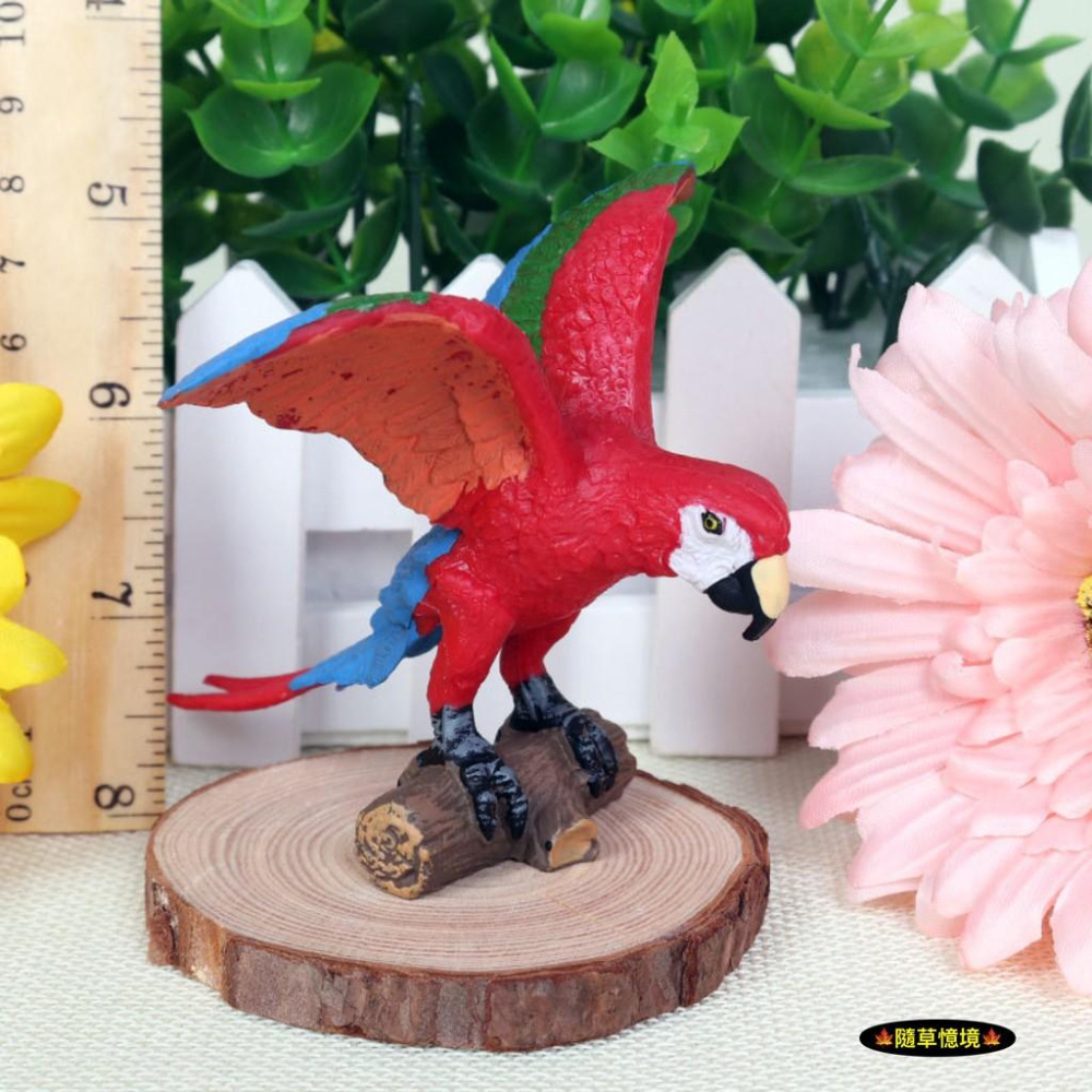 仿真 展翅 站木 金剛鸚鵡 鸚鵡 鳥類動物 飛禽動物 模型 野生動物 兒童玩具 益智 SPG-細節圖5