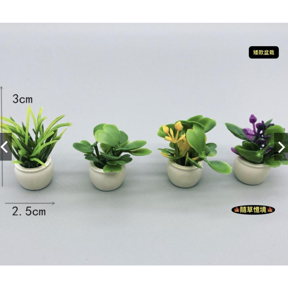 （7款入）迷你仿真 室內 盆栽 花架 花叢 花盆 成品花 植物模型 食玩 模型 微縮場景 微景模型-細節圖3