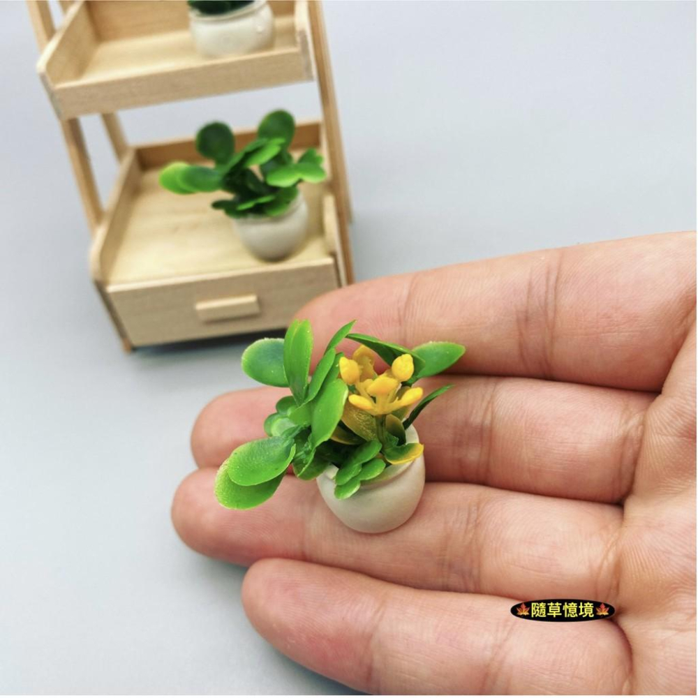 （7款入）迷你仿真 室內 盆栽 花架 花叢 花盆 成品花 植物模型 食玩 模型 微縮場景 微景模型-細節圖9