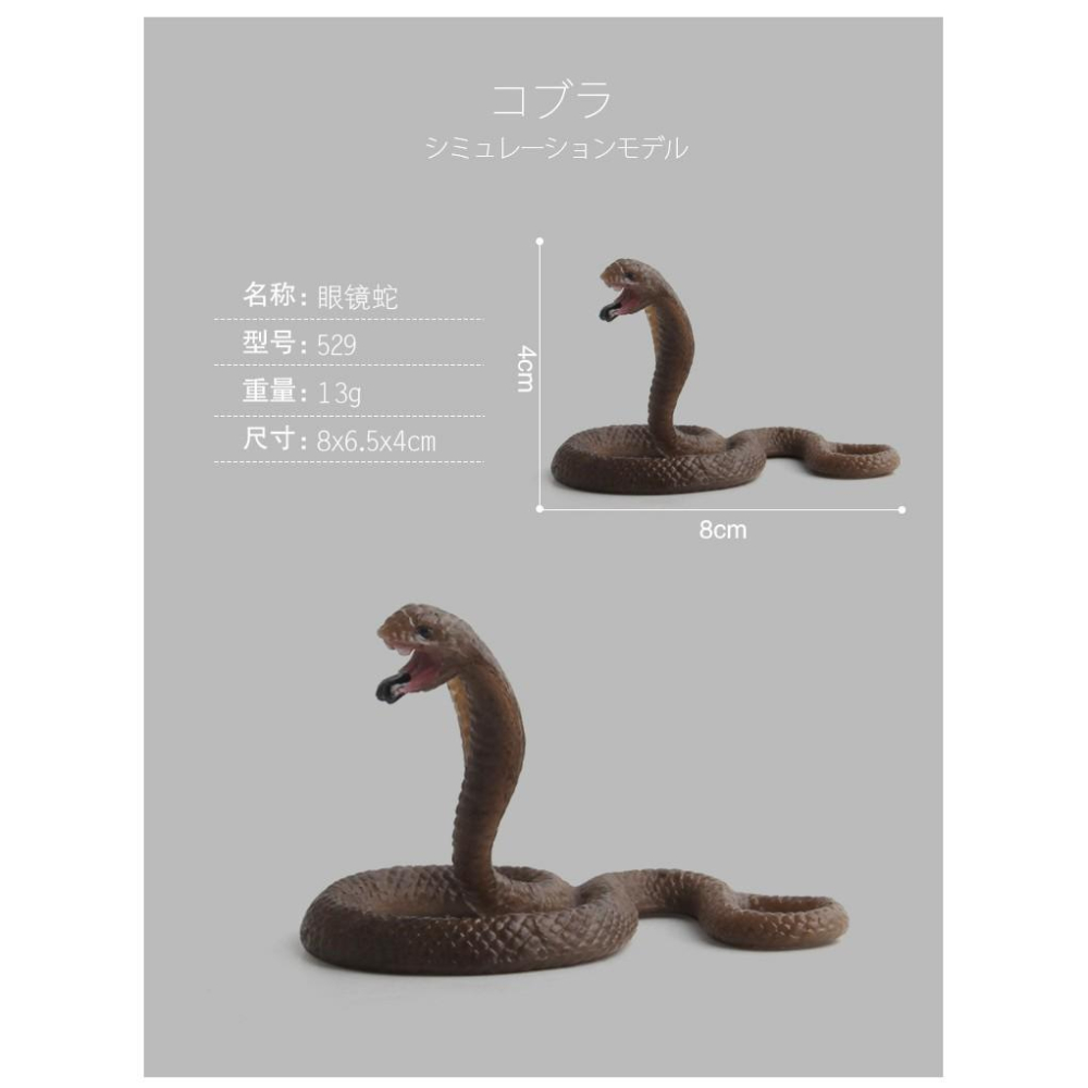 （★5款）仿真 眼鏡蛇 大蟒蛇 響尾蛇 蛇 爬行動物 模型 野生動物 兒童玩具 益智 公仔 SPG5-細節圖5