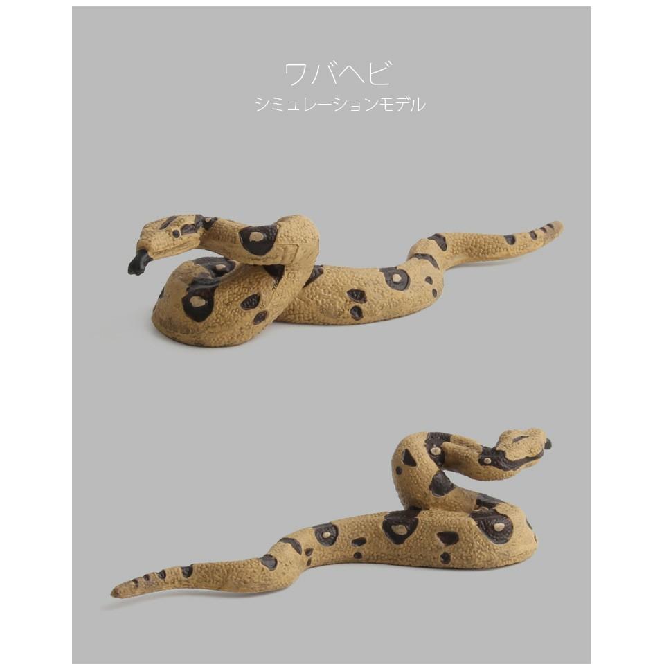 （★5款）仿真 眼鏡蛇 大蟒蛇 響尾蛇 蛇 爬行動物 模型 野生動物 兒童玩具 益智 公仔 SPG5-細節圖7