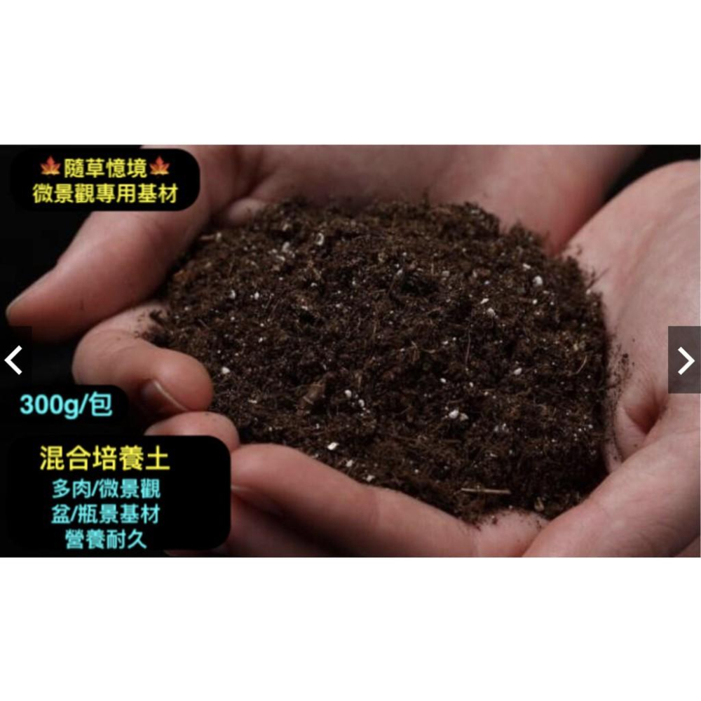 （8款苔蘚微景觀基材/裝飾沙） 石子 沙 河石 河沙 赤玉土 日本輕石 多肉 水族 硫璃石 水苔 培養土-細節圖5