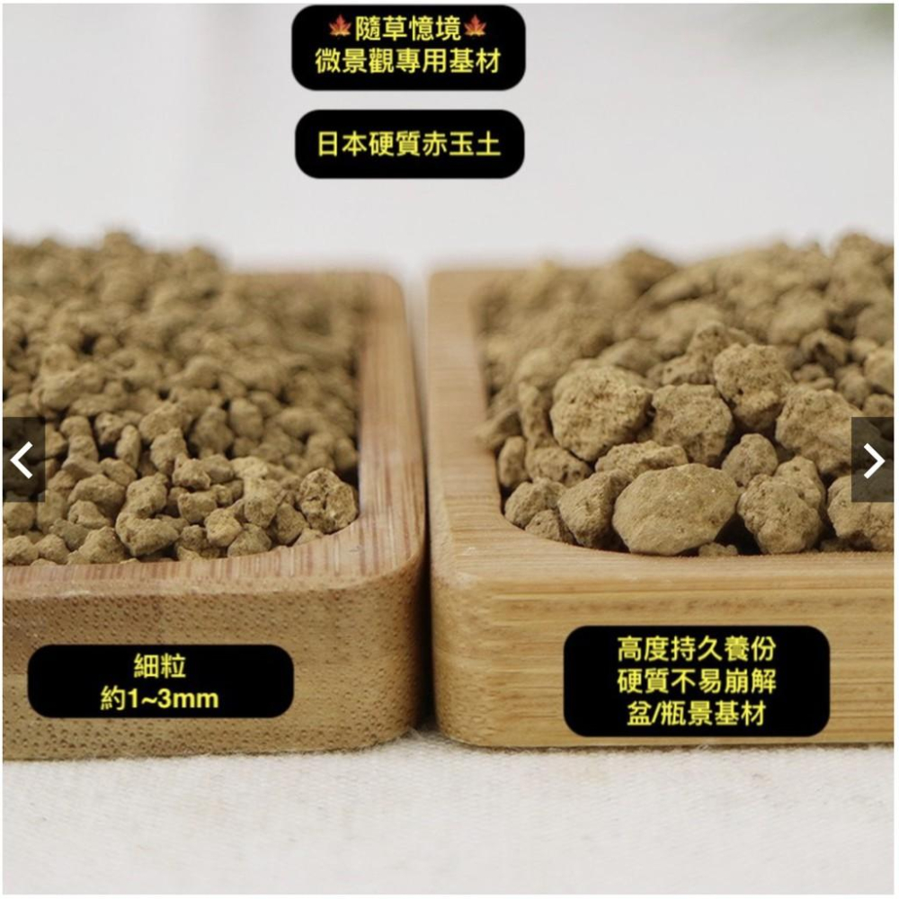 （8款苔蘚微景觀基材/裝飾沙） 石子 沙 河石 河沙 赤玉土 日本輕石 多肉 水族 硫璃石 水苔 培養土-細節圖7