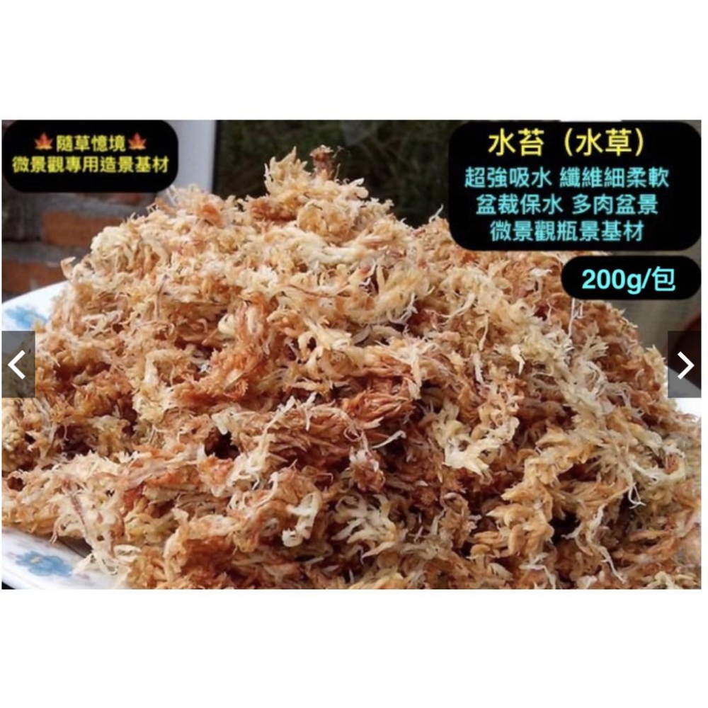 （8款苔蘚微景觀基材/裝飾沙） 石子 沙 河石 河沙 赤玉土 日本輕石 多肉 水族 硫璃石 水苔 培養土-細節圖9