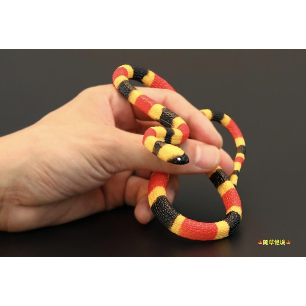 2款稀有45cm SPG正版 蛇 雨傘節 台灣環蛇 珊瑚蛇 毒蛇 仿真野生動物 模型 兒童 益智玩具-細節圖2