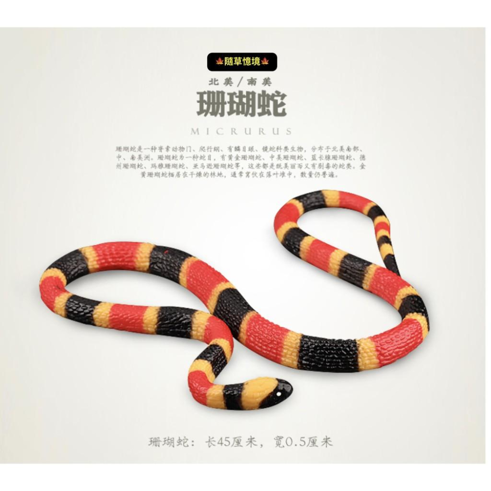 2款稀有45cm SPG正版 蛇 雨傘節 台灣環蛇 珊瑚蛇 毒蛇 仿真野生動物 模型 兒童 益智玩具-細節圖4