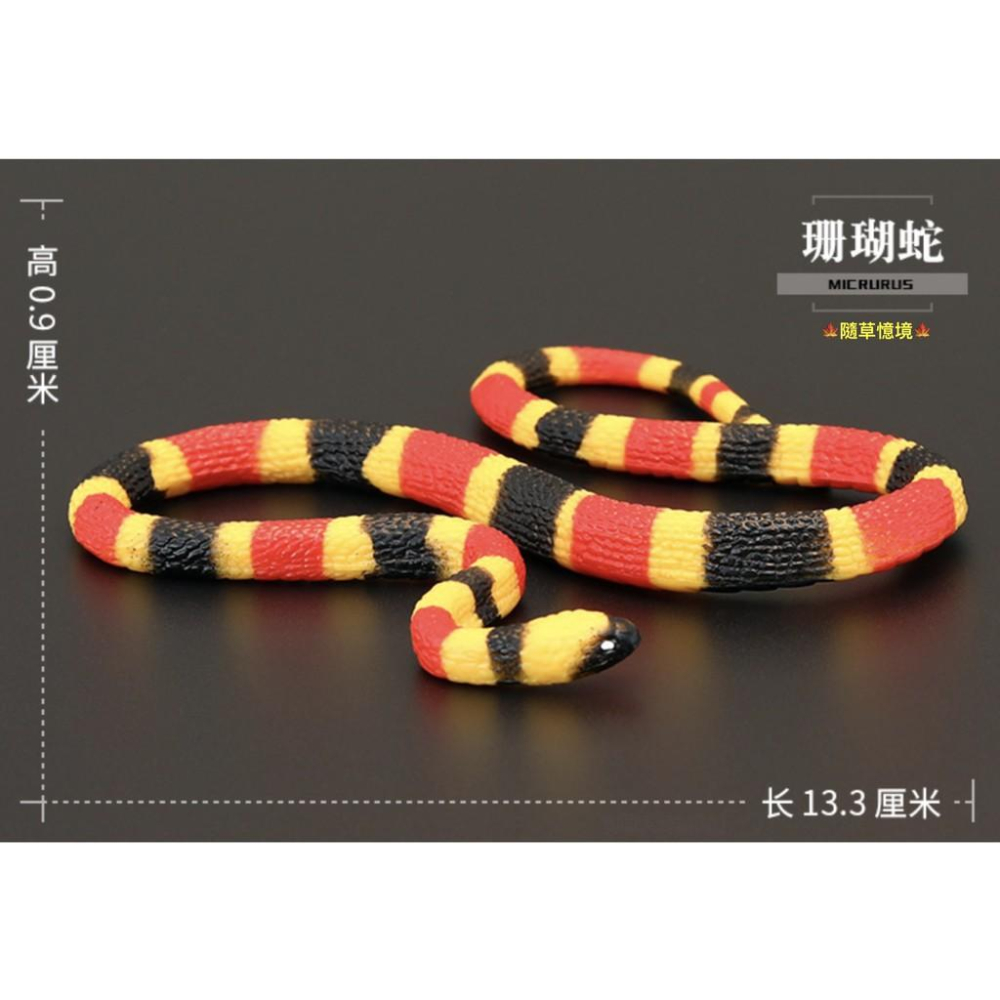 2款稀有45cm SPG正版 蛇 雨傘節 台灣環蛇 珊瑚蛇 毒蛇 仿真野生動物 模型 兒童 益智玩具-細節圖5