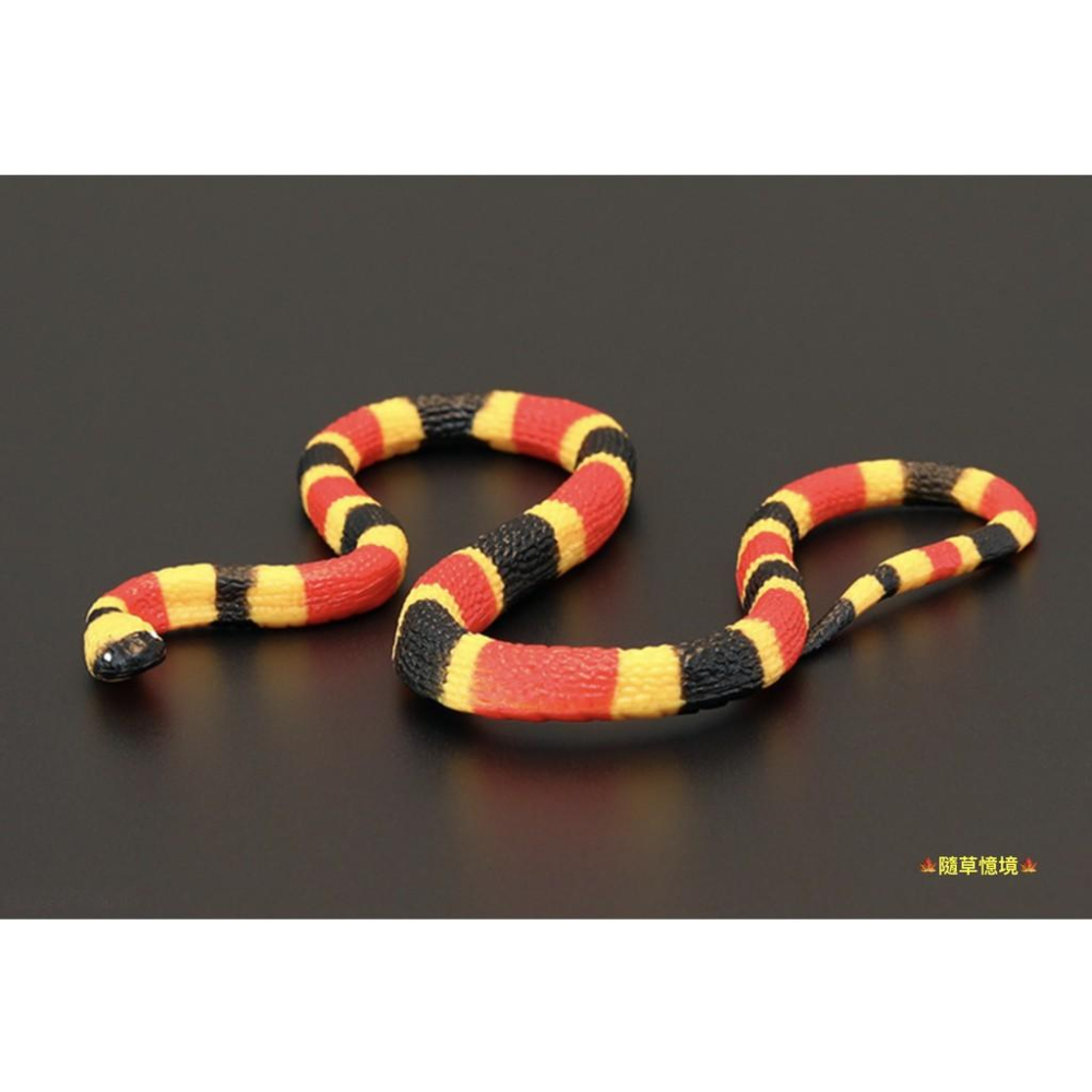 2款稀有45cm SPG正版 蛇 雨傘節 台灣環蛇 珊瑚蛇 毒蛇 仿真野生動物 模型 兒童 益智玩具-細節圖6