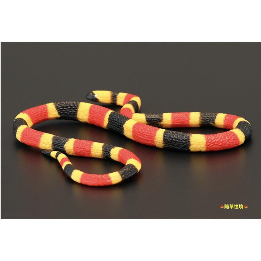 2款稀有45cm SPG正版 蛇 雨傘節 台灣環蛇 珊瑚蛇 毒蛇 仿真野生動物 模型 兒童 益智玩具-細節圖8