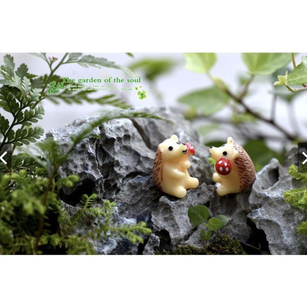 （1入/3入）拿蘑菇 刺蝟 刺猬 苔蘚微景觀 多肉植物擺件 玩偶擺件 DIY材料-細節圖2