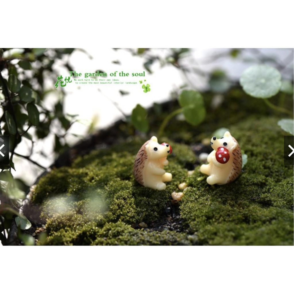 （1入/3入）拿蘑菇 刺蝟 刺猬 苔蘚微景觀 多肉植物擺件 玩偶擺件 DIY材料-細節圖5