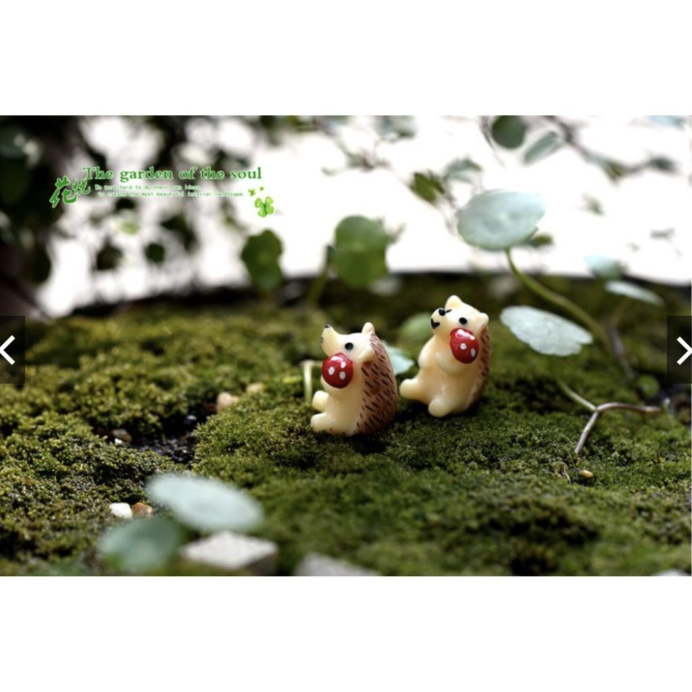（1入/3入）拿蘑菇 刺蝟 刺猬 苔蘚微景觀 多肉植物擺件 玩偶擺件 DIY材料-細節圖6