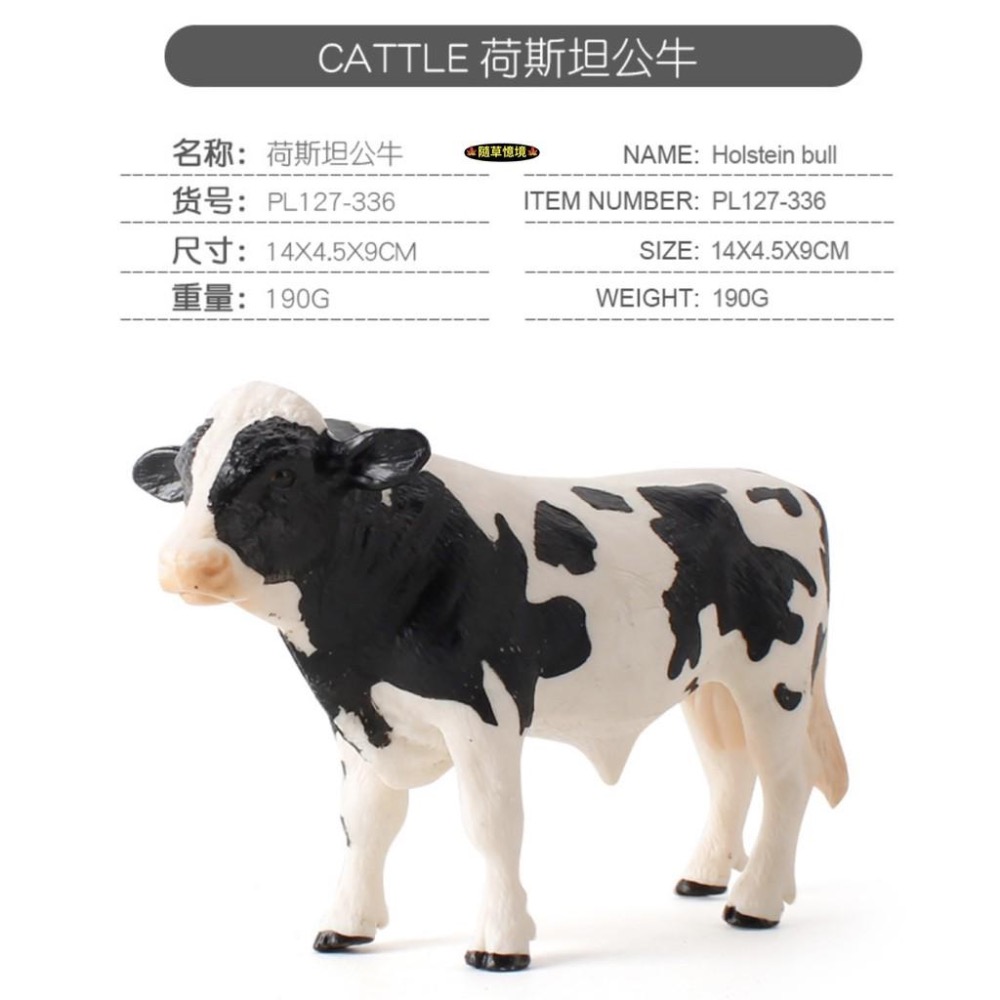 （5款）仿真 荷斯坦奶牛 公牛 小牛 母牛 牧場 乳牛 牛 農場 動物模型 野生動物 兒童玩具 益智 公仔-細節圖2