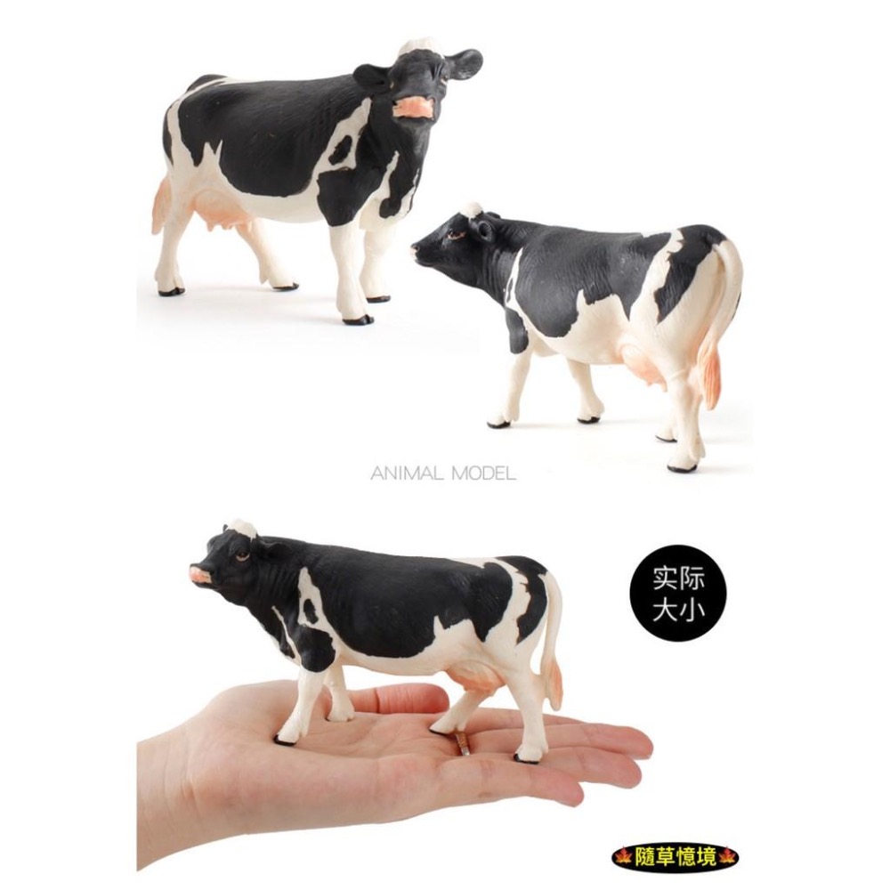 （5款）仿真 荷斯坦奶牛 公牛 小牛 母牛 牧場 乳牛 牛 農場 動物模型 野生動物 兒童玩具 益智 公仔-細節圖3