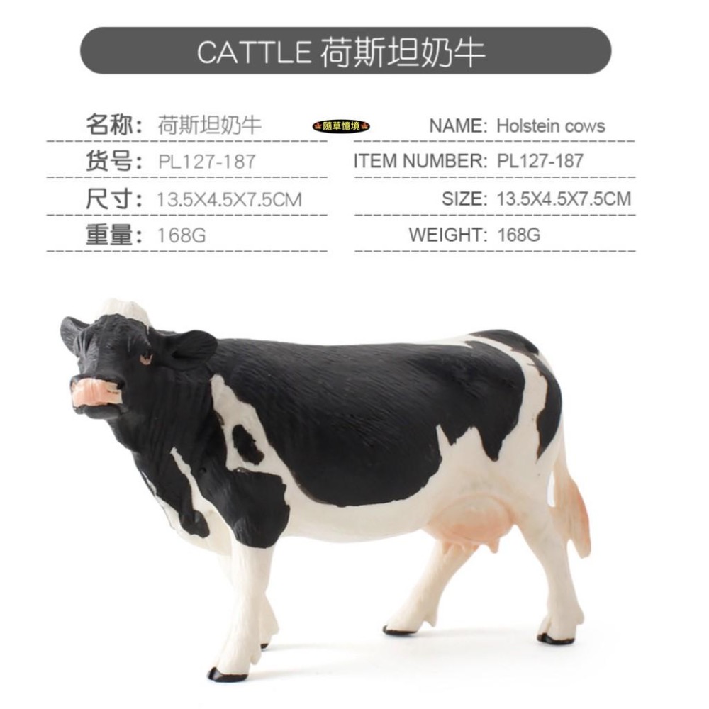 （5款）仿真 荷斯坦奶牛 公牛 小牛 母牛 牧場 乳牛 牛 農場 動物模型 野生動物 兒童玩具 益智 公仔-細節圖4