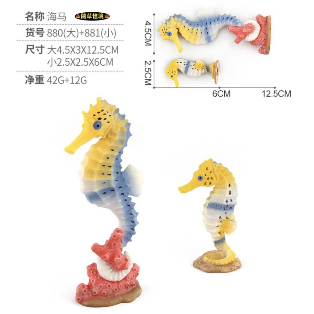 （5款大號） SPG 斑魚鯊 烏賊 魷魚 章魚 海馬 寄居蟹 鯊魚 仿真 海洋生物 野生 動物模型 兒童 益智玩具-細節圖3