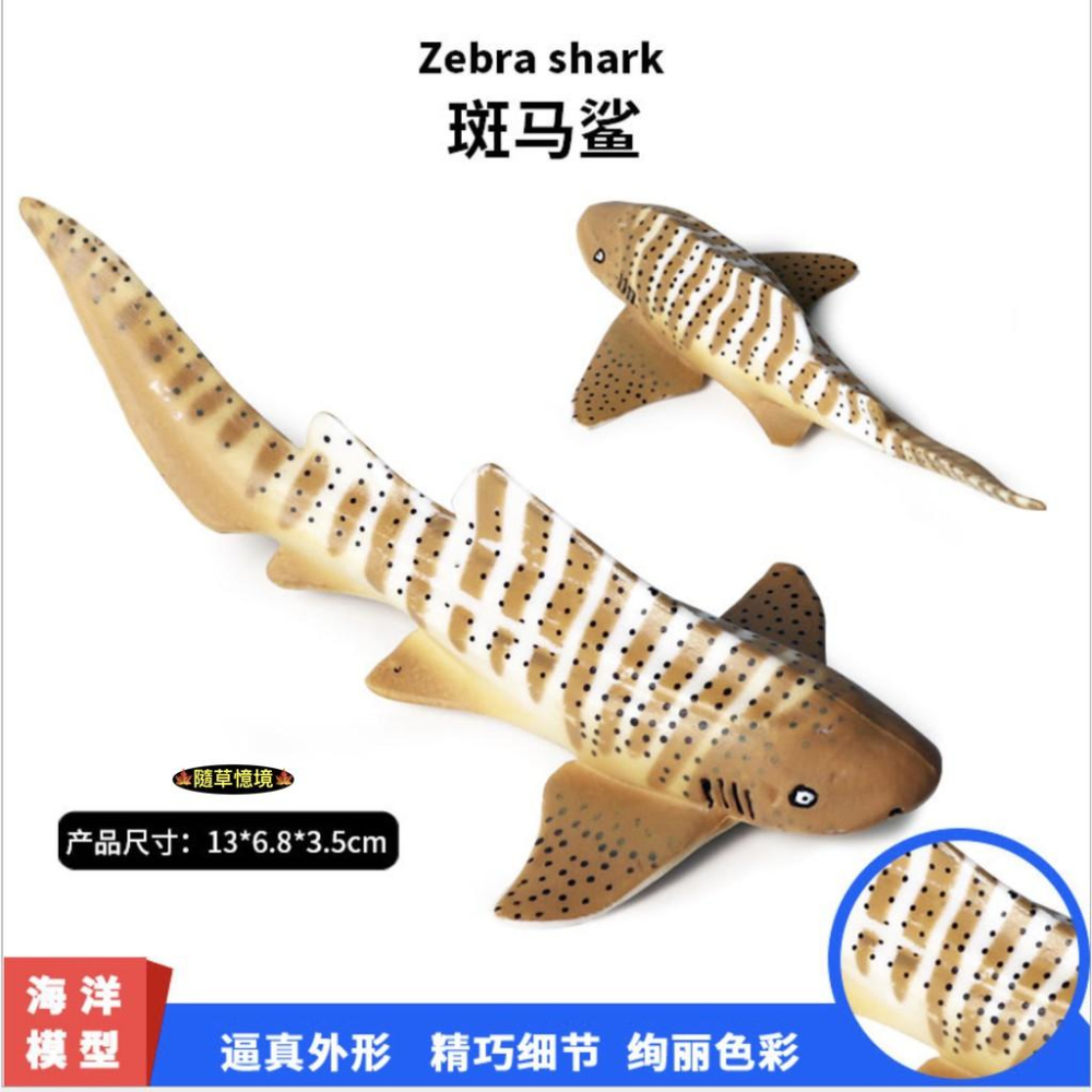 （5款大號） SPG 斑魚鯊 烏賊 魷魚 章魚 海馬 寄居蟹 鯊魚 仿真 海洋生物 野生 動物模型 兒童 益智玩具-細節圖4