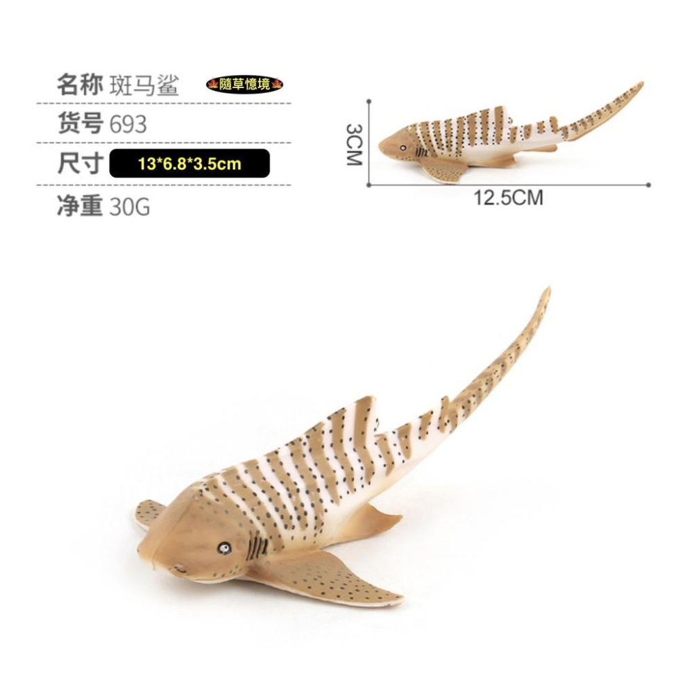 （5款大號） SPG 斑魚鯊 烏賊 魷魚 章魚 海馬 寄居蟹 鯊魚 仿真 海洋生物 野生 動物模型 兒童 益智玩具-細節圖6